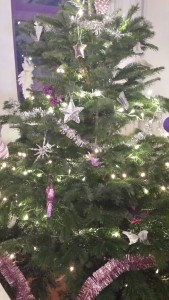 kerstboom 2015