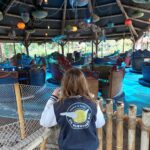 De Efteling: even wennen, maar het was weer leuk Efteling 1