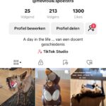 Help, ik zit op Tiktok Screenshot Tiktok